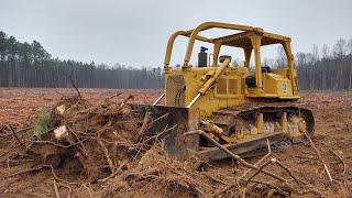 Busting Stumps With The Cat D6 Dozer