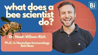 What does a bee scientist do? [Bite Scized Conversations with Dr. Noah Wilson Rich]