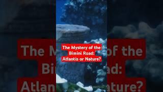 The Mystery of the Bimini Road: Atlantis or Nature? #ytshorts #dropnite #yotricks #pantsoptional