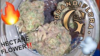 GRANDIFLORA HECTANE FLOWER | REVIEW | GASSSSS!! |