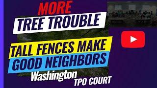 More TREE Trouble - TPO Court - Thurston County - REAL court with KCC