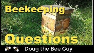 Beekeeping Questions and 10000 Subscriber Giveaway