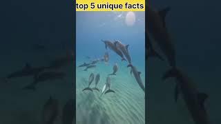 kekde ka dad Uske pet Mein Hota Hai  #viralvideo #amazingfact #interestingfact