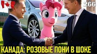 266. Канада: Сенсация! Что-то пошло правильно (и либералы тут ни при чём). Что такое "розовые пони"?