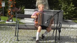 Fest der Volkskultur 2016 - Oberwang - Rückblick letztes Fest der Volkskultur 2014 in Herzogsdorf