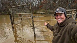 Flash floods taking over hog traps.  We caught pigs.