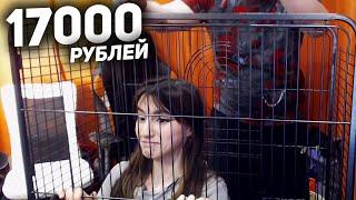 Пятёрка Купил Пентхаус Для Крысок. Нарезка Со Стрима Пятёрки