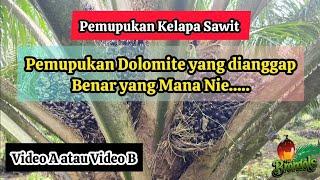 Penjelasan The Brondols: Dolomite yang dianggap Benar yang Mana Nie.....