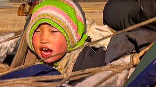 The Nomadic Existence of a Mongolian Herding Family | Tribe with Bruce Parry | BBC Studios