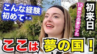 「こんな経験したことない…日本は夢のような国！」外国人観光客にインタビュー｜ようこそ日本へ！Welcome to Japan!