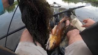 Redfish DESTROY the silver spoon!!!