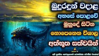 මිනිස් ඇස ඉක්මවා ලෝක විශ්වය දුටු ලෝක විදූ බුදුරදුන් | Buddha who saw the universe beyond human eye