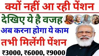 क्यों नहीं आ रही है पेंशन || जल्द करें ये काम || pension || pension news || pension kab aayegi