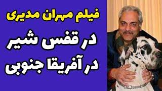 فیلم مهران مدیری در آفریقای جنوبی در کنار یک شیر و بقل کردن و نوازش این شیر غول پیکر و بالغ