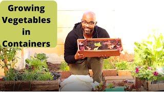 How to grow vegetables in containers