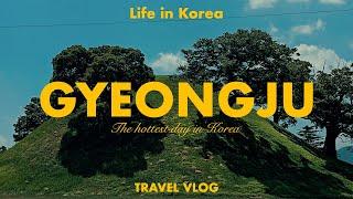 GYEONGJU Travel Vlog! Life in Korea, day trip to Gyeongju for the first time!