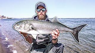 Using FORBIDDEN Lure To Catch MONSTER Bluefish!!
