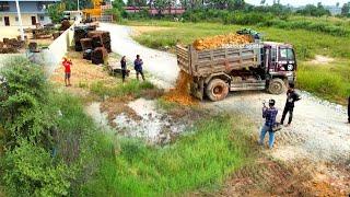 Wonderful Bulldozer Working push soil with Dump truck 5T unloading soil Landfilling filling up.