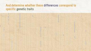 Genetic resistance to malaria