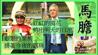 #賽馬貼士 【中文字幕】上次兩隻馬膽全勝! Nek Chang 馬膽 R2 上仗復甦 R9 上仗出色 #香港賽馬 #賽馬分析