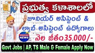 ప్రభుత్వ కళాశాలలో జాబ్స్ | IITR Junior Assistant & Lab Assistant Notification All Details Apply Now