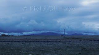 A Field Of Hope