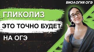 ОГЭ Биология 2022 | Энергетический обмен | Гликолиз и кислородный этап энергетического обмена