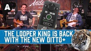 New TC Electronic Ditto+ | The Iconic Mini Looper Pedal, Now With Next-Level Upgrades!