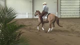 190727 Open Derby Elijah McQuerry on Whizky N Roses