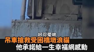 吊車搶救受困橋墩浪貓　他承諾給一生幸福網感動