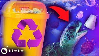 RECICLAGEM NÃO FUNCIONA (e aqui está o motivo)