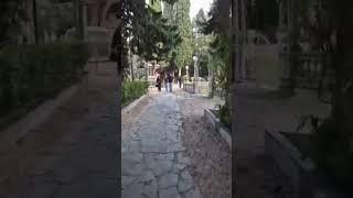 ️Парк роз Тбилиси. Зима 2025 #Тбилиси #грузия #tbilisi #travel #shorts #georgia