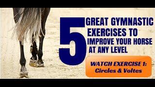 5 Great Gymnastic Exercises to Improve Your Horse At Any Level - Exercise 1