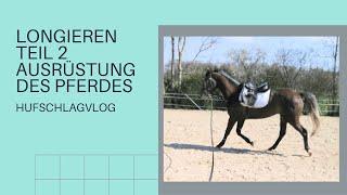 Longieren Teil 2 Ausrüstung des Pferdes