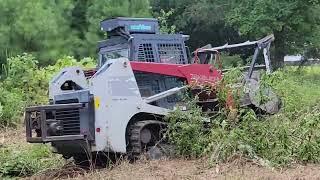 PATH OF DESTRUCTION #skidsteer #trackloader #forestrymulcher #mulching #fae #forestry #destruction