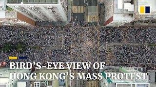 Bird’s-eye view of Hong Kong’s mass protest against extradition law