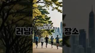 서울 내 러닝하기 좋은 장소 TOP10