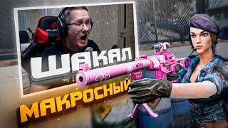 ПИРАНИЙ ПРОКЛЯЛ ЭТО ОРУЖИЕ! АС ВАЛ В WARFACE 2023