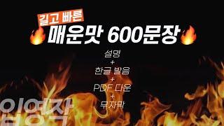 중급자용 뒹굴신 매운맛 600문장 통합본
