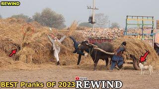 Best Of Fails Prank BUSHMAN Rewind 2023 | @PendoBrandTv