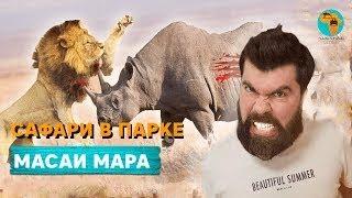 Сафари в Кении. День 2. Не покупайте, пока не посмотрите это видео!