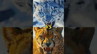 Cheetah vs Wild Animals (Lion, Tiger, Black Panther, Snow Leopard, Elephant, Gorilla, Anaconda, Wolf