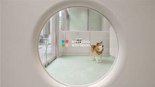 【商業設計概念 】 SAA 獸醫診所 Veterinary Centre｜1900呎｜溫暖大自然色系 Karv One Design 峻佳設計 #室內設計 #商業設計