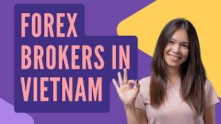 Top 5 Best Forex Brokers in Vietnam for 2025