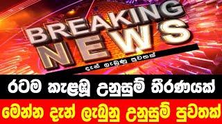 breaking news|election prediction srilanka news|hiru newa|political news|hiru tv live|news 1st