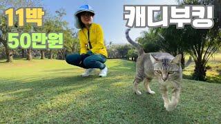 라오스 쉬운 나라 스크린 골프 비용 여행 Taxi Golf Tour 동남아 비엔티안