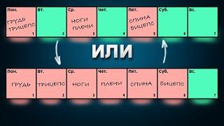 Как лучше тренироваться каждый день по одной группе мышц или 3 раза в неделю по две