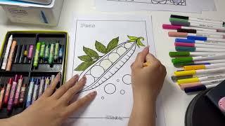 Hello everyone, today I will color a picture of a bean with many seeds.