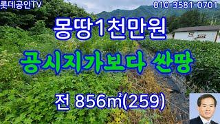 NO.624번. 공시지가보다 싼 땅, 전856㎡(259) 몽땅1천만원