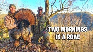 Luck Is On Our Side! - Another Public Land Gobbler